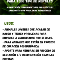 Recovery Reptiles con Insectos