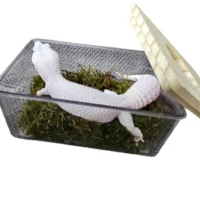 Caja húmeda transparente para geckos y reptiles pequeños, ideal para procesos de cría y muda. Dimensiones 15,5 x 10,5 x 7 cm.