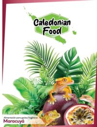 Caledonian Food 250g | Alimento Completo para Geckos Crestados y Reptiles Frugívoros - Imagen 8